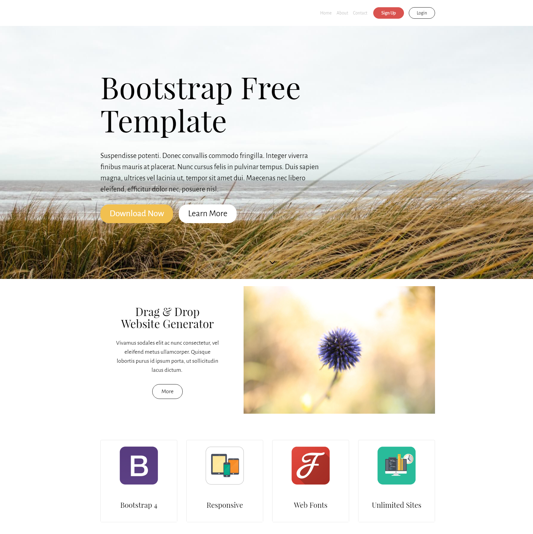 CSS3 Bootstrap Free Themes