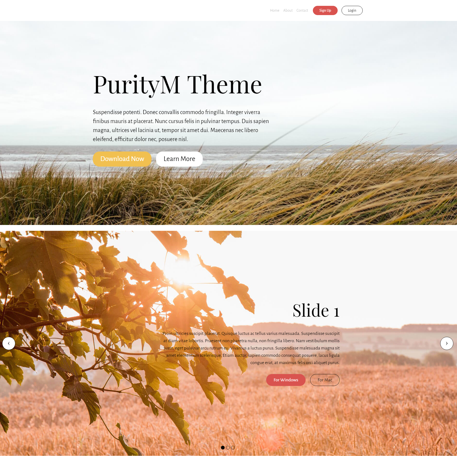 Free Bootstrap PurityM Themes