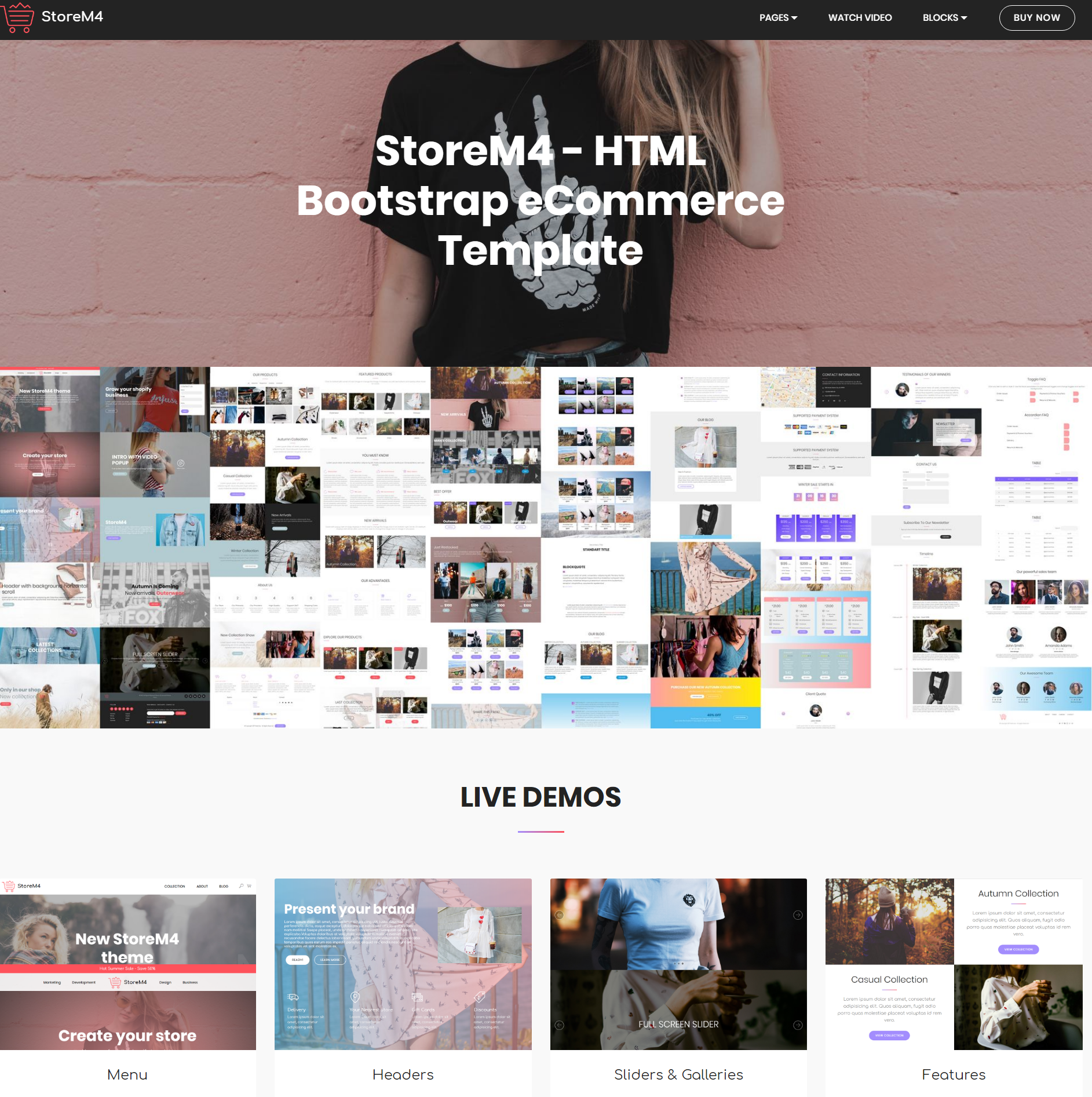 CSS3 Bootstrap Storem4 Templates