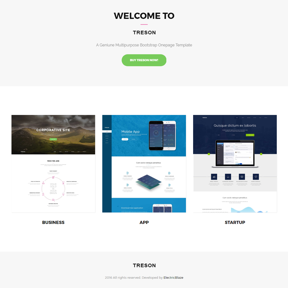 CSS3 Bootstrap Treson Templates