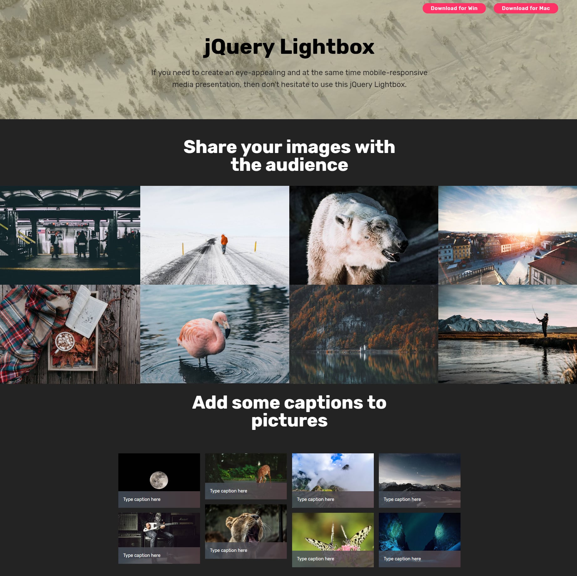 HTML5 Bootstrap Photo Gallery